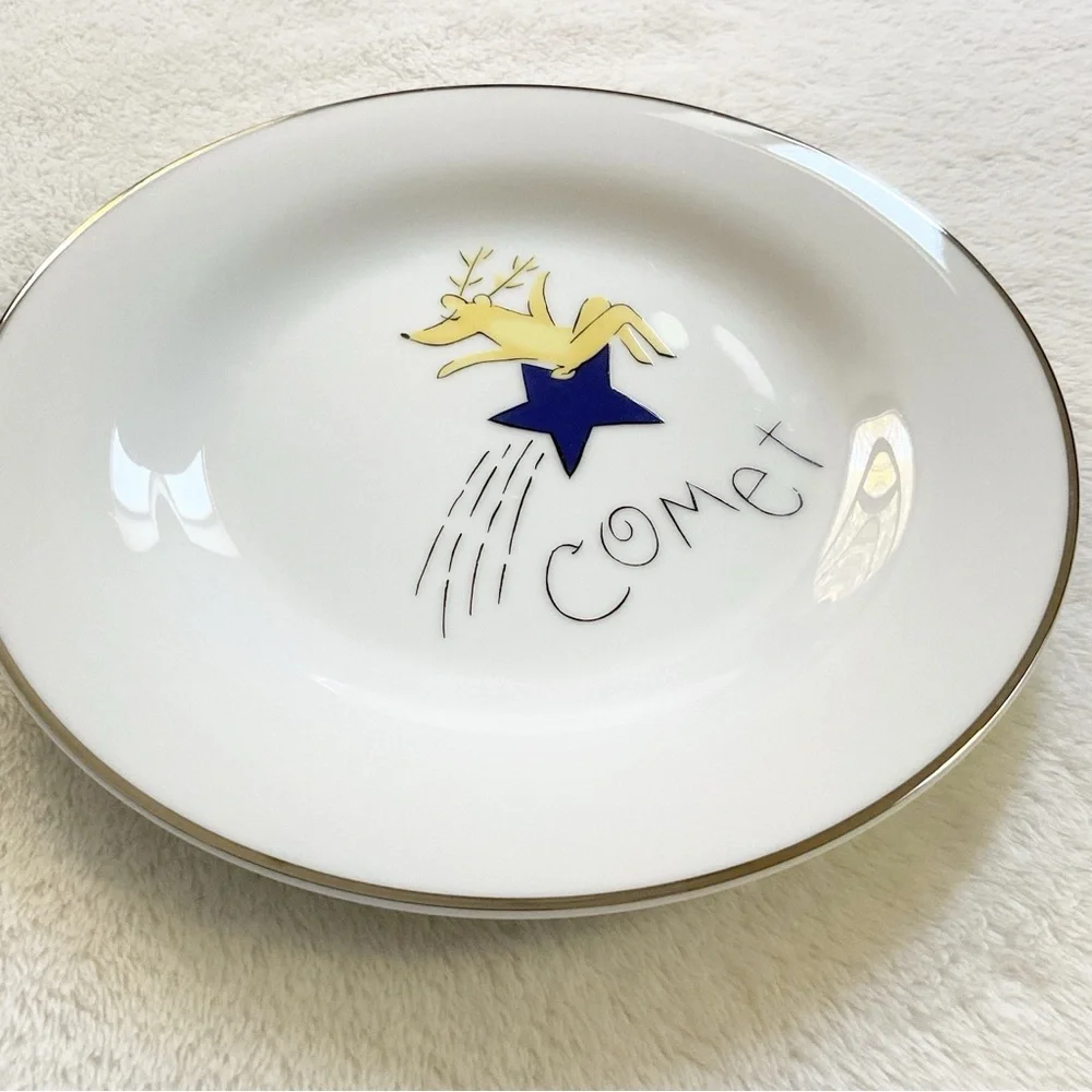 Pottery Barn Comet Reindeer Salad Plate 8.5” Japan Christmas Deer Silver Rim